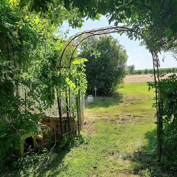 Arche De Jardin en Acier Inoxydable 240cm Arche À Rosiers Élégante Pergola en Métal pour pour Mariage,Arrière-Cour,Terrasse(Color:25mm+Base,Size:4.5 * 2.4m(15 * 7.9ft))