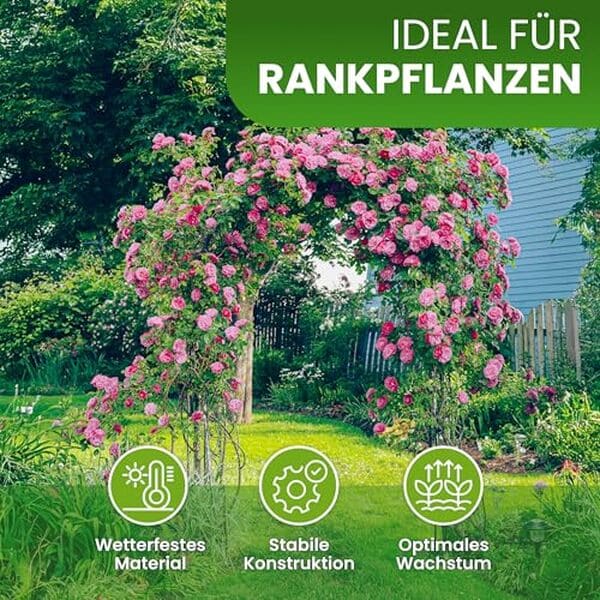 Découvrez le test complet de l'arche à rosiers Gartenwelt Riegelsberger : un support en acier noir alliant esthétique et robustesse pour sublimer votre jardin