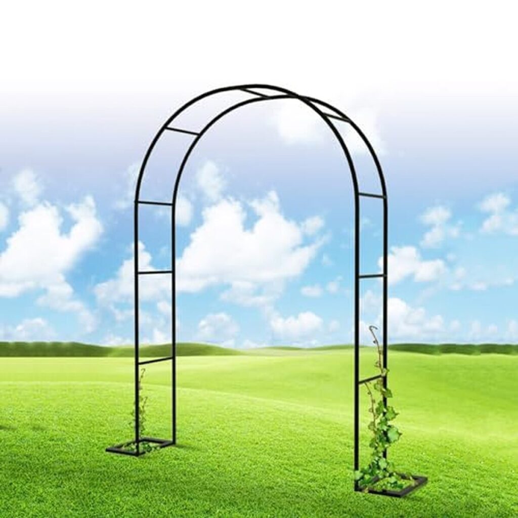 Avis : arche de jardin LIYI929GP, robuste et décorative pour plantes grimpantes