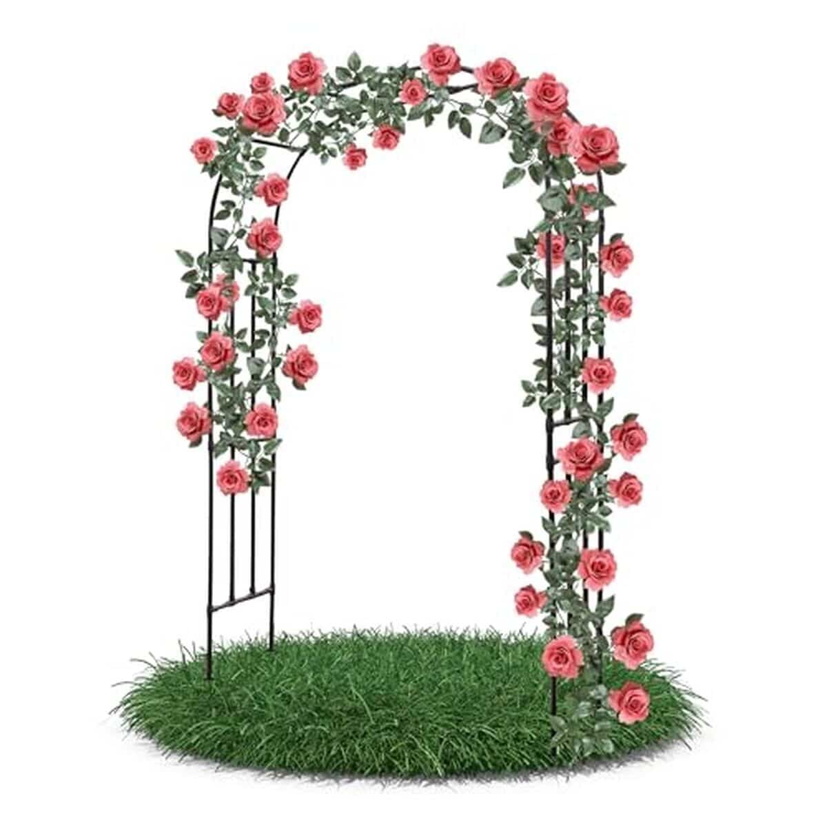 Test de l'arche à rosiers Gartenwelt Riegelsberger : élégant support en acier noir