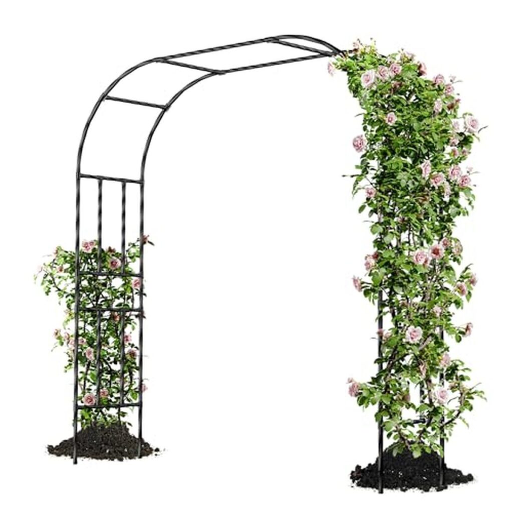 Test de l'arche de jardin Caroeas : une tonnelle résistante et élégante