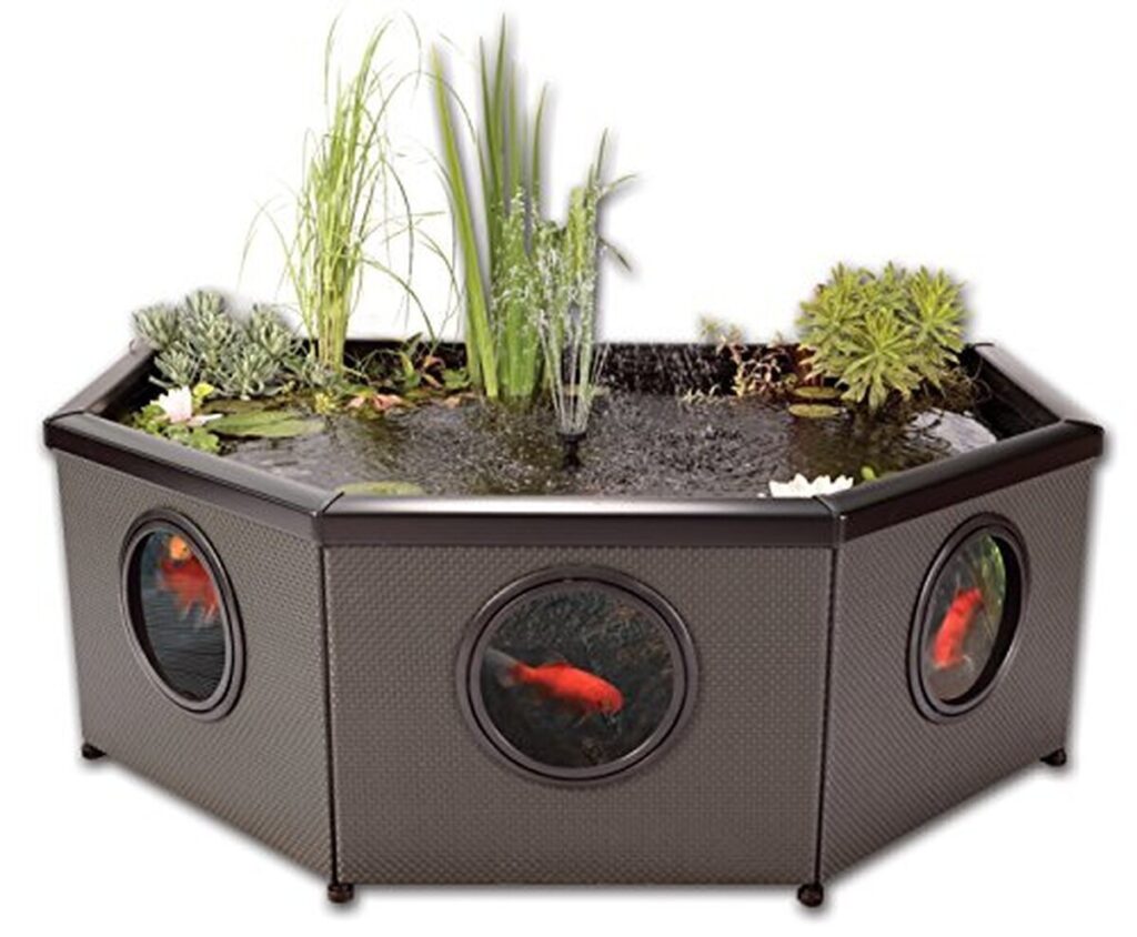 Test du bassin aquatique Blagdon Affinity Living, grand octogone