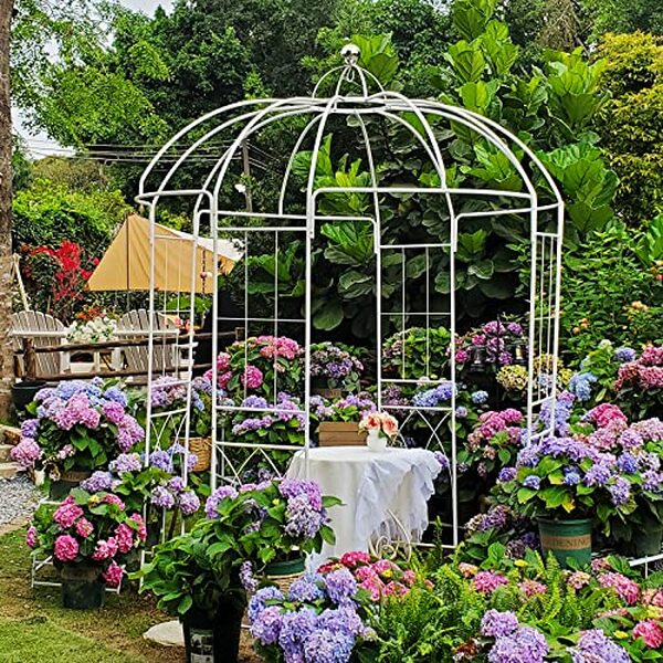 Découvrez notre test complet de l'arche à rosiers Scendor Garden blanche de 271x207x207 cm, alliant élégance et robustesse pour sublimer votre jardin.