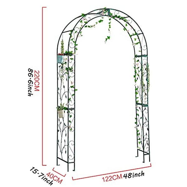 Découvrez notre test complet de l'arche à rosiers Jardi 220 cm alliant robustesse et élégance pour sublimer votre espace extérieur.