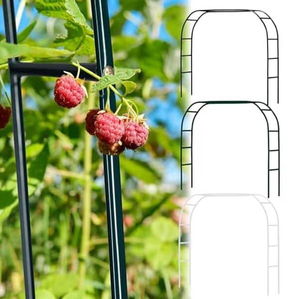 Découvrez le test complet de l'arceau à rosiers Liyi929GP pour un jardin élégant et des fêtes réussies grâce à sa robustesse et son design raffiné.