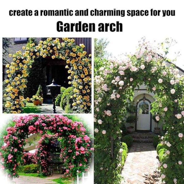 Découvrez l'analyse complète de notre test sur l'arche de jardin en acier pour plantes grimpantes. Avis, robustesse et conseils d'installation.