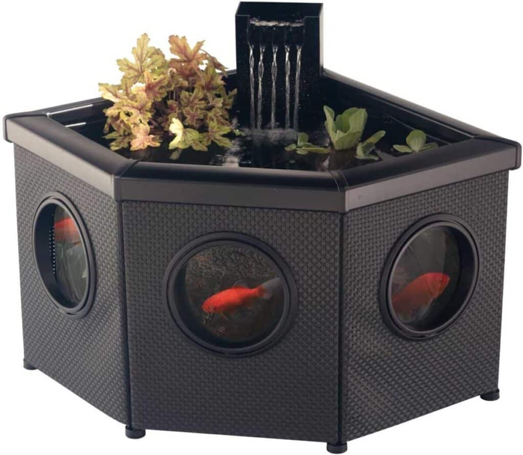 Test De La Fontaine D'Angle Blagdon Affinity View Avec Pompe 5 En 1