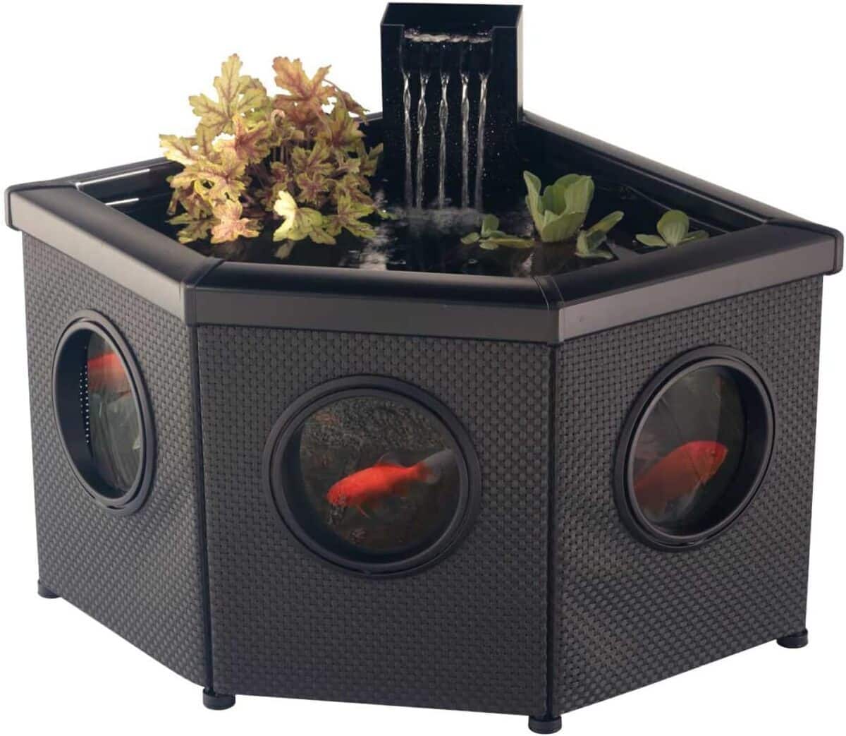 Test De La Fontaine D'Angle Blagdon Affinity View Avec Pompe 5 En 1