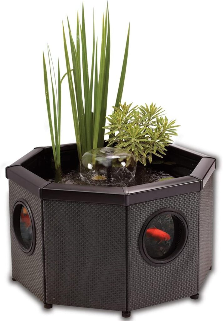 Test de la fontaine octogonale Blagdon affinity view avec pompe inpond et spot LED
