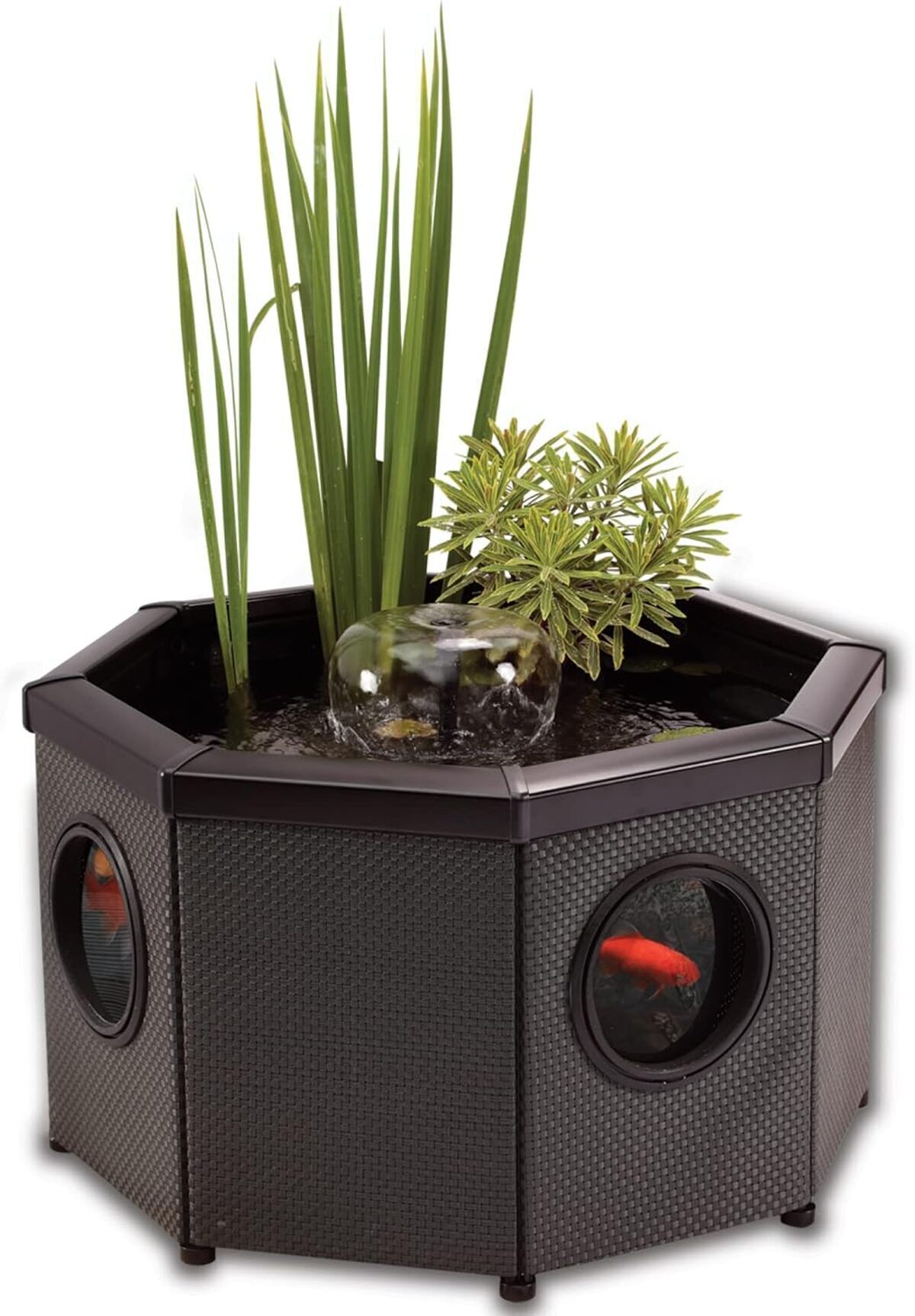 Test de la fontaine octogonale Blagdon affinity view avec pompe inpond et spot LED